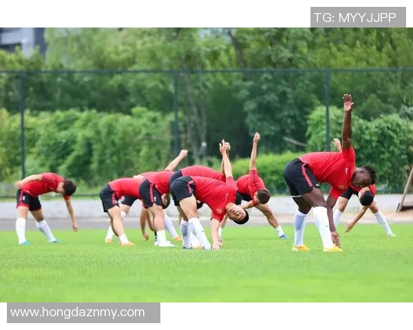 广州飞盘队的战术控制与团队协作深度解析