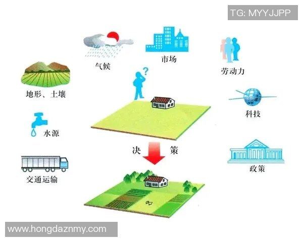 足球明星形象费的商业价值与市场影响力分析探讨 足球明星形象费的商业价值与市场影响力分析探讨