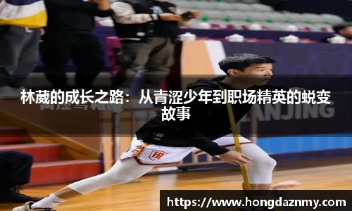 OD体育官网